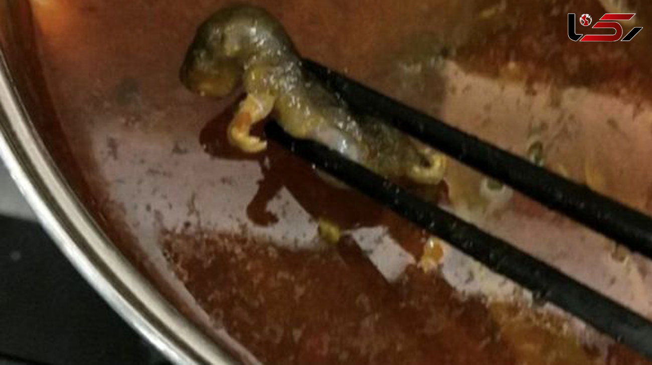 جنجال عکس موش مُرده در سوپ  یک زن + جزییات
