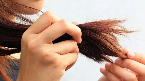 14 اشتباه که زیبایی موهای تان را از بین می برد/چرا موخوره می زنید؟