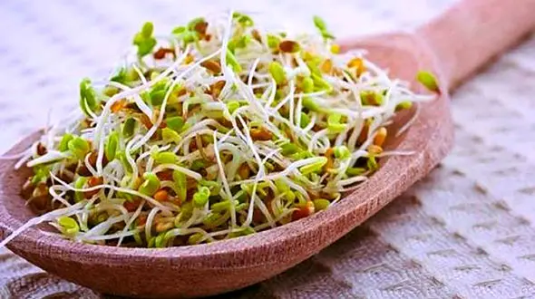 6 روش برای چاق شدن صورت بدون اضافه وزن بدن