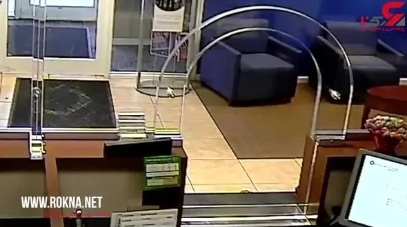 کشته شدن سارق توسط نگهبان بانک+ فیلم