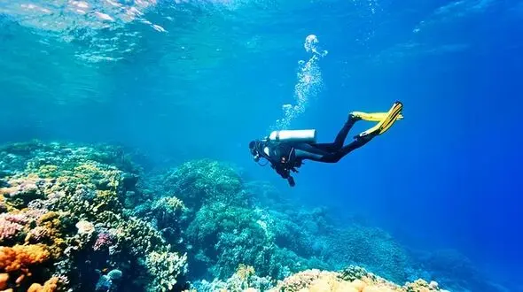 ببینید / اقدام عجیب و شجاعانه عواص زن در زیر دریا + فیلم حیرت انگیز
