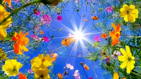 فال حافظ 2 خرداد ماه + فیلم