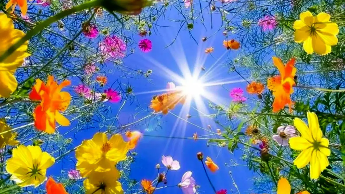 فال امروز 19 بهمن