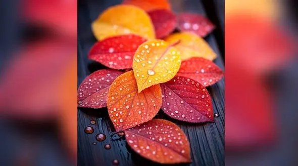 فال و طالع بینی روزانه 5 آذر + فیلم 