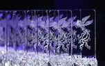 لحظه به لحظه جشنواره فجر 1402/ از جنجال بی بدن الناز شاکردوست تا صندلی های خالی اختتامیه!
