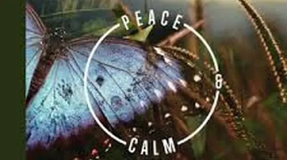 از آرامش درون تا باور به یاری خدا