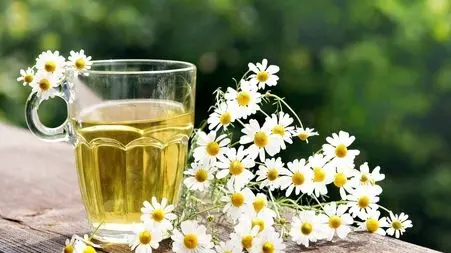 بابونه چیست؟ / انواع بابونه و ویژگی‌ های آنها + طرز مصرف