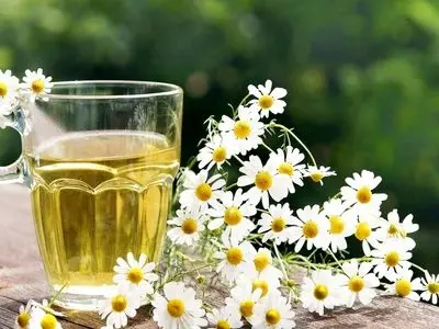 بابونه چیست؟ / انواع بابونه و ویژگی‌ های آنها + طرز مصرف