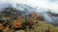 آتش سوزی در ارتفاعات مارین گچساران/تلاش برای مهار آتش ادامه دارد
