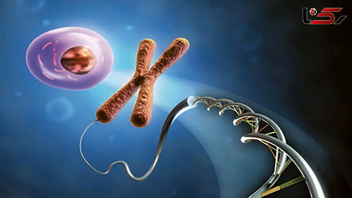 کروموزوم چیست؟