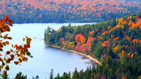 آهنگ آرامش با صدای احسان خواجه امیری + فیلم 