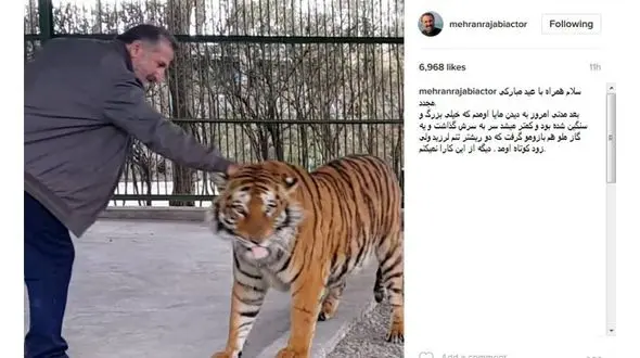 ببر مهران رجبی را گاز گرفت !+ عکس