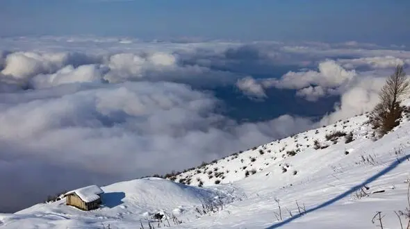 جمله زیبا برای شروع روز + عکس