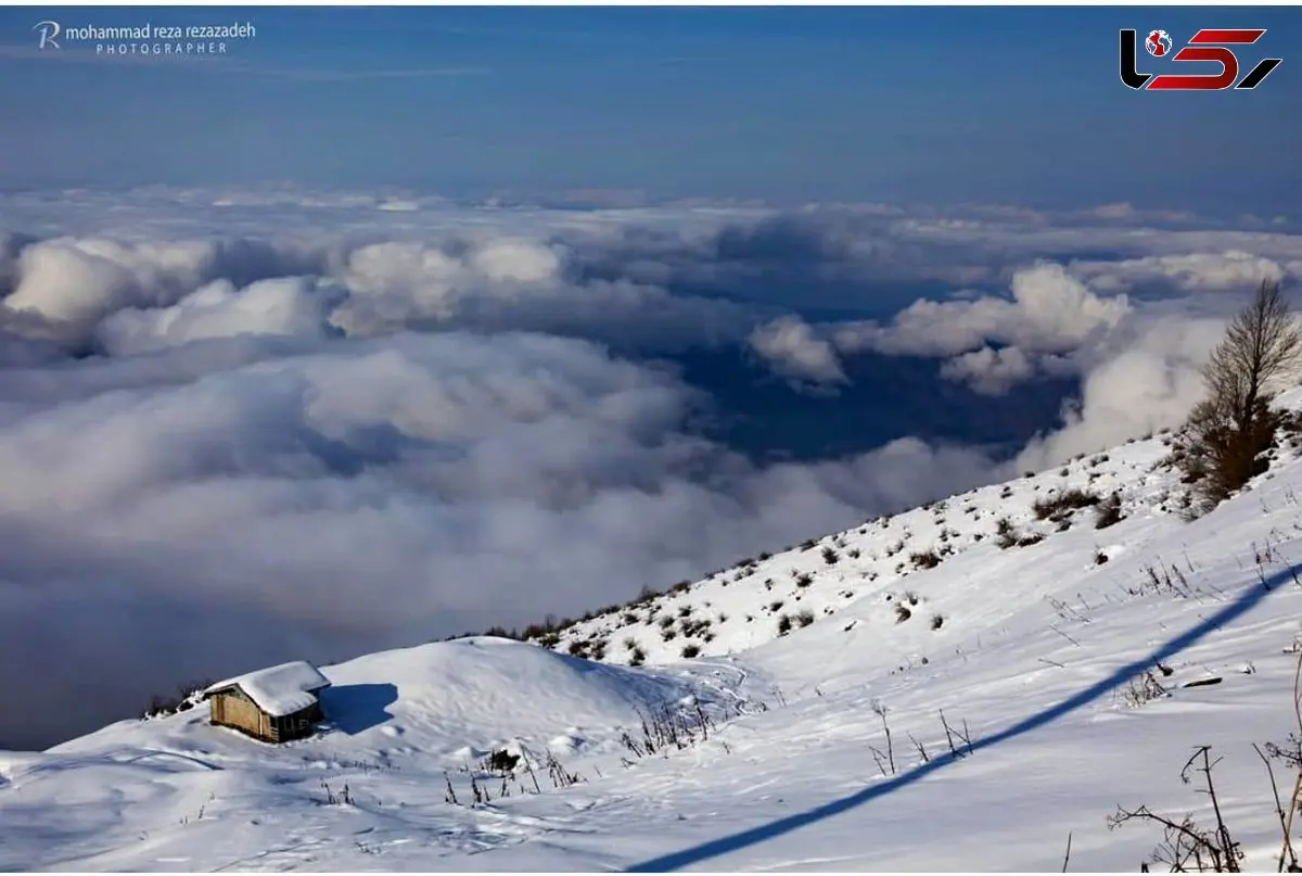 جمله زیبا برای شروع روز + عکس