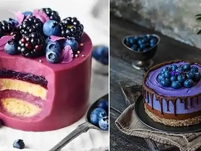 دیزاین شیک دسر با بلوبری؛ 15 پیشنهاد جذاب برای دسرهای مجلسی