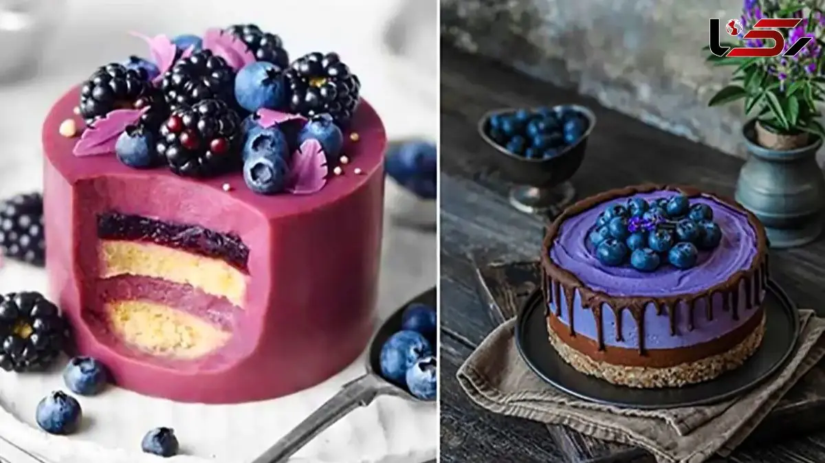 دیزاین شیک دسر با بلوبری؛ 15 پیشنهاد جذاب برای دسرهای مجلسی
