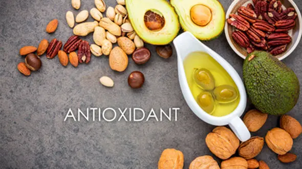 دلیل اهمیت آنتی اکسیدان‌ ها برای سلامت چیست؟
