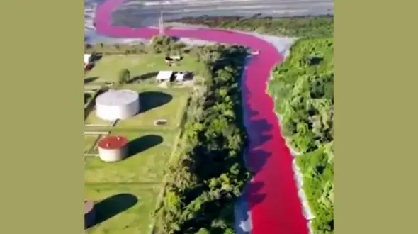 علت رنگ قرمز رودخانه ساراندی در آرژانتین چیست؟