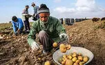 مدیر صندوق بازنشستگی روستائیان و عشایر: ایجاد شغل برای کشاورز بیکار شده وظیفه ما نیست