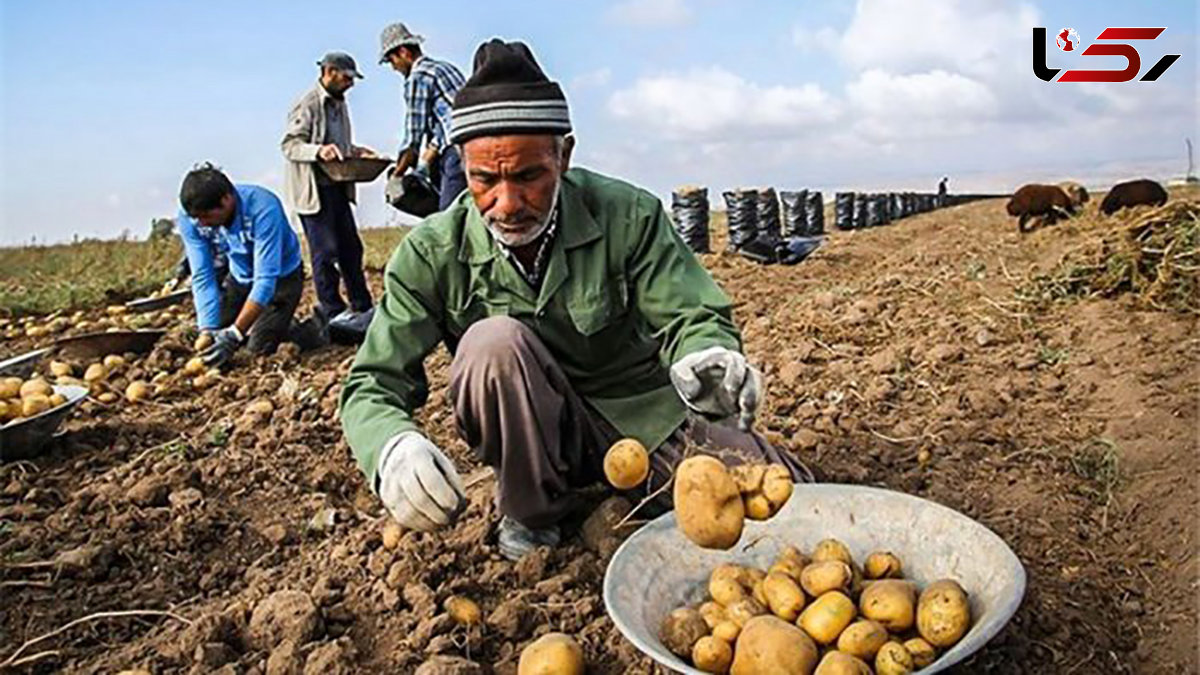 بخش کشاورزی بزرگترین مصرف کننده آب در کشور است