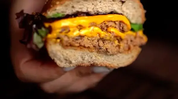 از سیب زمینی تنوری با سس قارچ تا برگر بی دردسر فوری