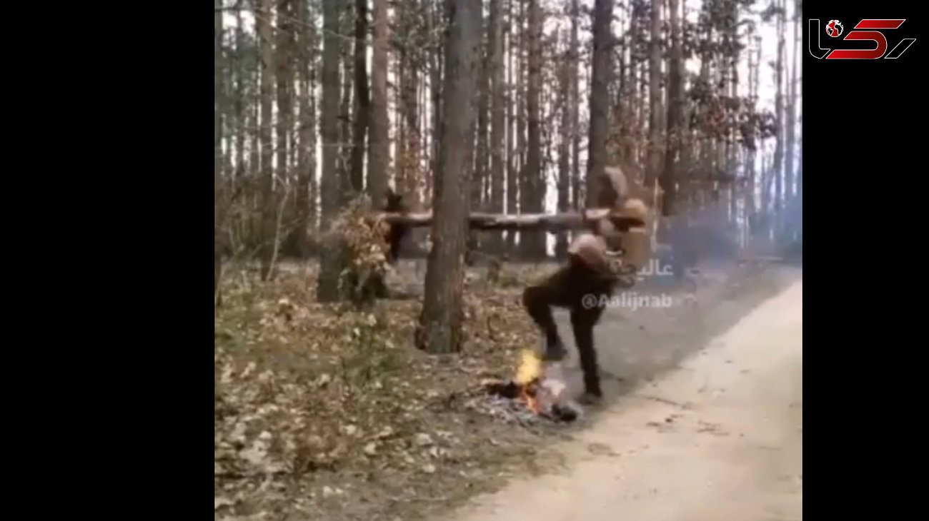 ببینید / حرکت جنون‌آمیز دو مرد وسط جنگل /  پت و مت در دنیای واقعی! + فیلم