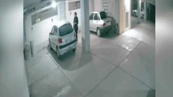 فیلم لحظه سرقت زن تهرانی از پارکینگ یک خانه 