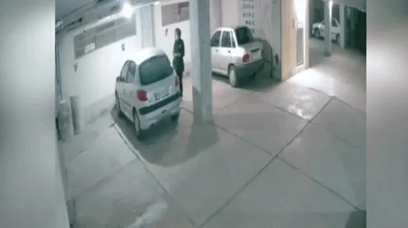 فیلم لحظه سرقت زن تهرانی از پارکینگ یک خانه 