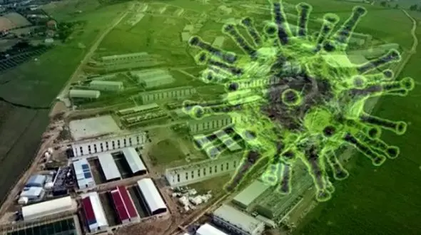  هم سلامت هم معیشت /  راهبرد ضد کرونایی دولت