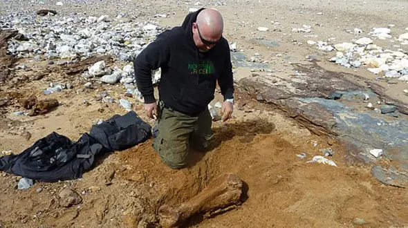 کشف ناگهانی فسیل 2 میلیون ساله ماموت هنگام پیاده روی +عکس