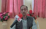 اعلام آمادگی وزارت راه برای تامین بودجه ایمن سازی مسیر عبور یوزپلنگ ایرانی + فیلم 