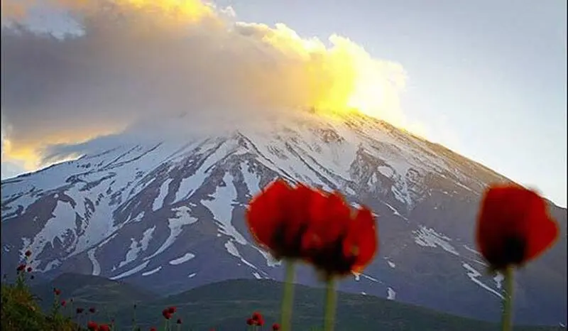 13970530000247_Test_PhotoI