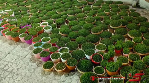 حال و احوال امروز + فیلم