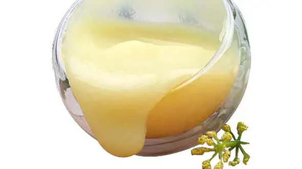 خواص ژل رویال 