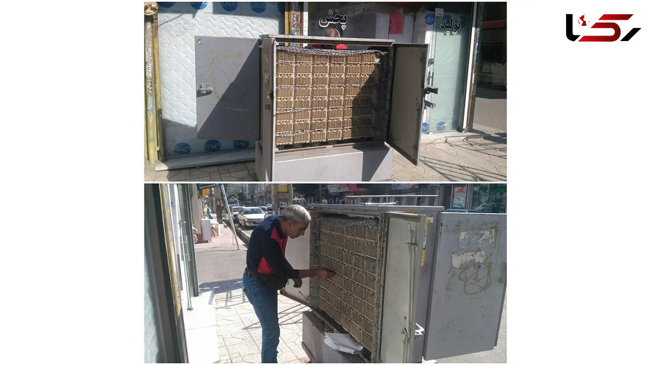 قطع کردن تلفن هزار گلستانی در یک شب /  سارقان دستگیر شدند