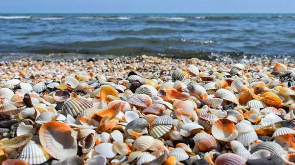 عرج سواحل چیست؟ / جدول های جامع + پرسش و پاسخ