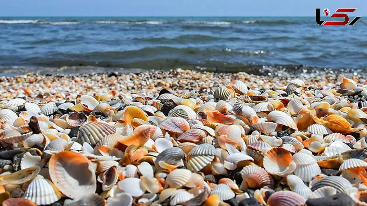 عرج سواحل چیست؟ / جدول های جامع + پرسش و پاسخ