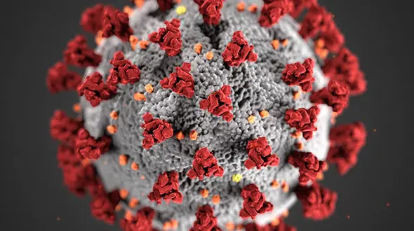 فرار از کرونا با لباس دایناسور در فرودگاه + عکس