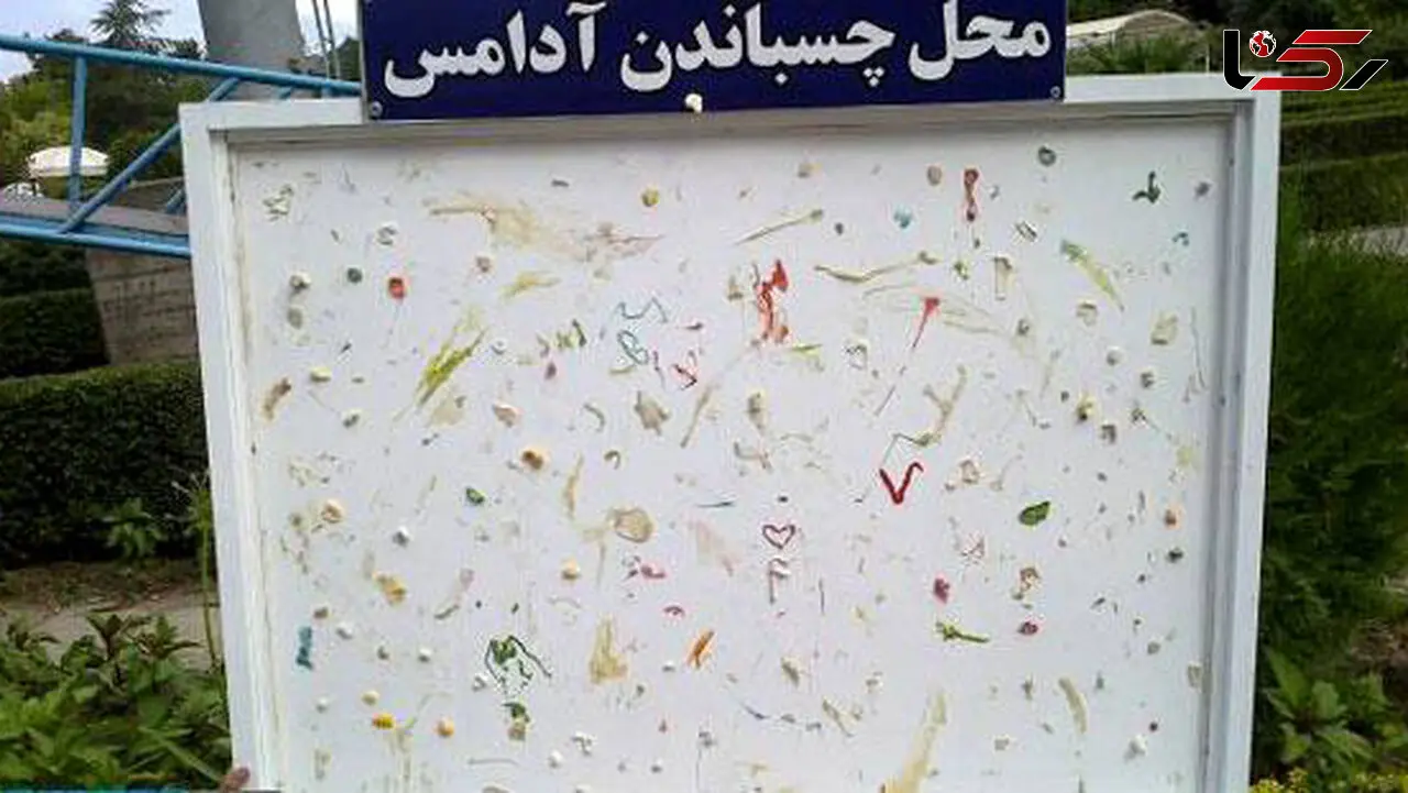 اگر به مازندران رفتید آدامستان را در این محل بچسبانید +عکس
