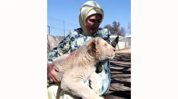 همسر رئیس جمهور در حال بازی با توله شیر+عکس