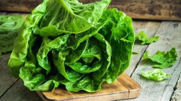 بی خواب ها قبل از خواب این سبزی را بخورند