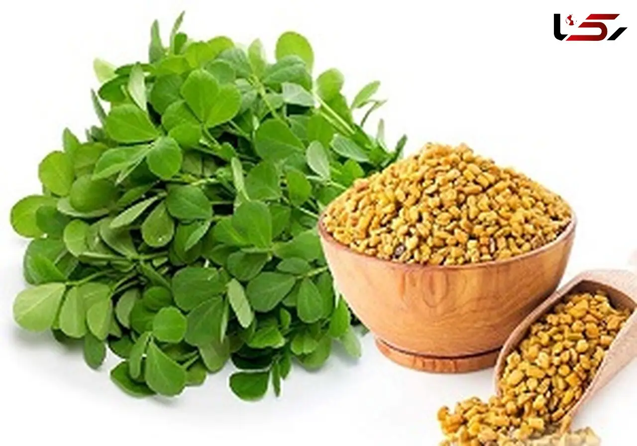 موهایی ضخیم و پرپشت با مصرف این سبزی
