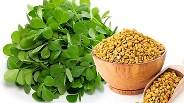 موهایی ضخیم و پرپشت با مصرف این سبزی