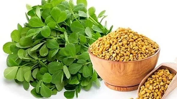 موهایی ضخیم و پرپشت با مصرف این سبزی