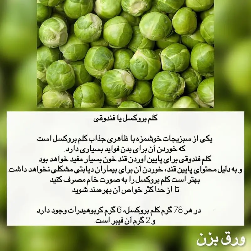 کلم بروکسل
