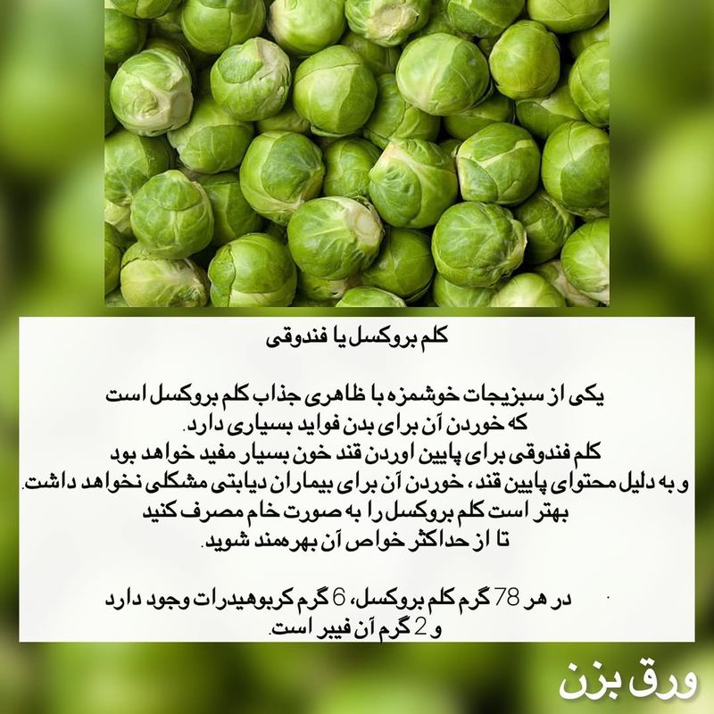کلم بروکسل