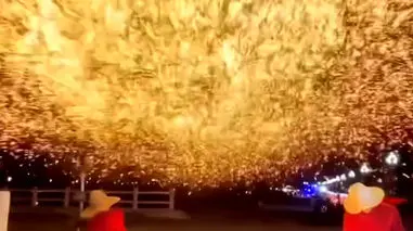 فیلم آتش بازی متفاوت با جرقه های آهن داغ در چین