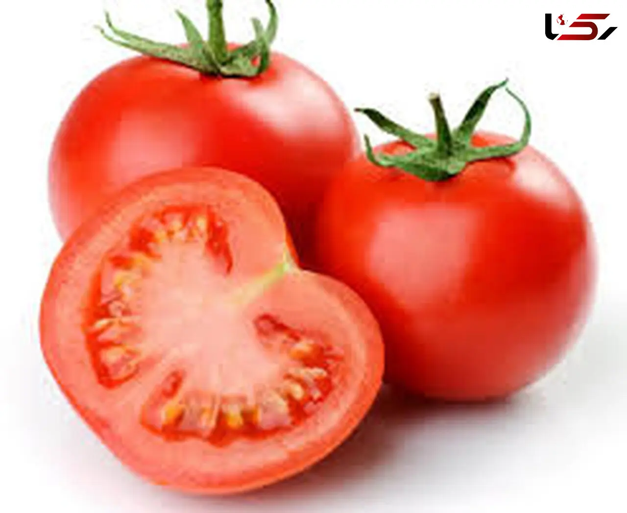 علت رشد بهاری قیمت گوجه فرنگی چه بود؟