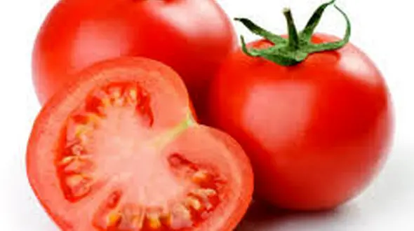 علت رشد بهاری قیمت گوجه فرنگی چه بود؟