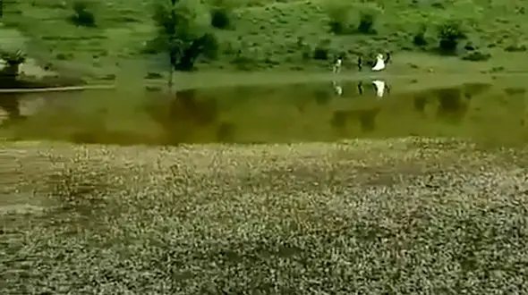 زیبایی های بکر روستای استخرگاه رودبار + فیلم